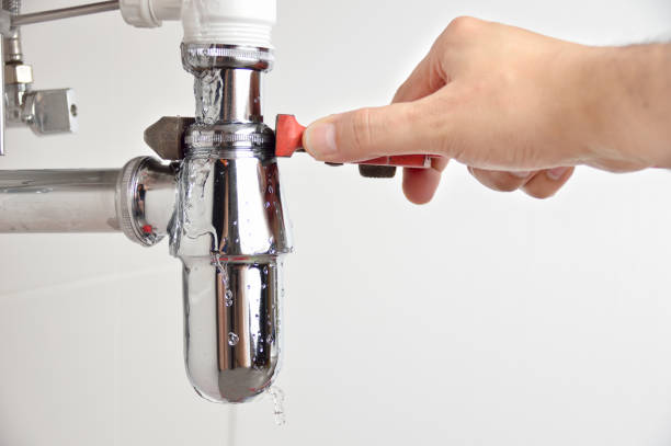 Professional Plumbing  in Twin City, GA